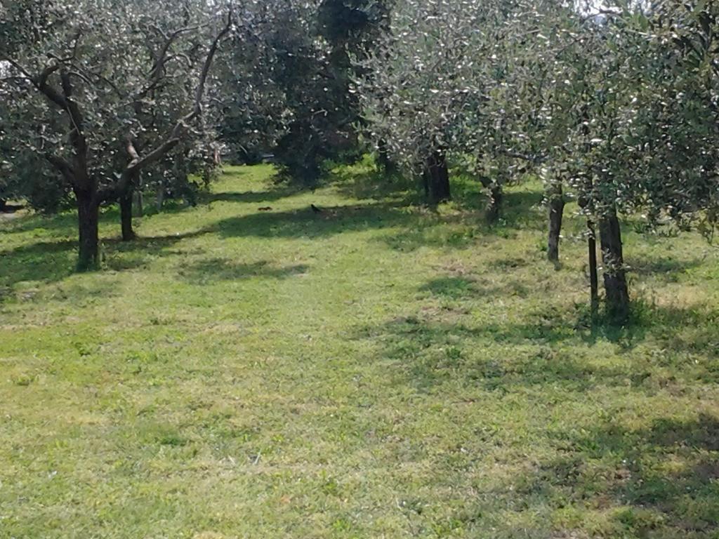 Agriturismo Corte Galvani Неграр Экстерьер фото